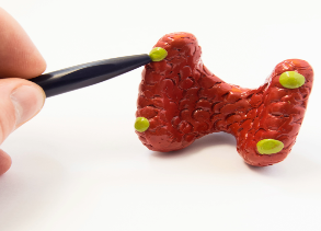 Sem título (19).png